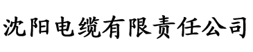 国内免费精品视频一区电缆厂logo